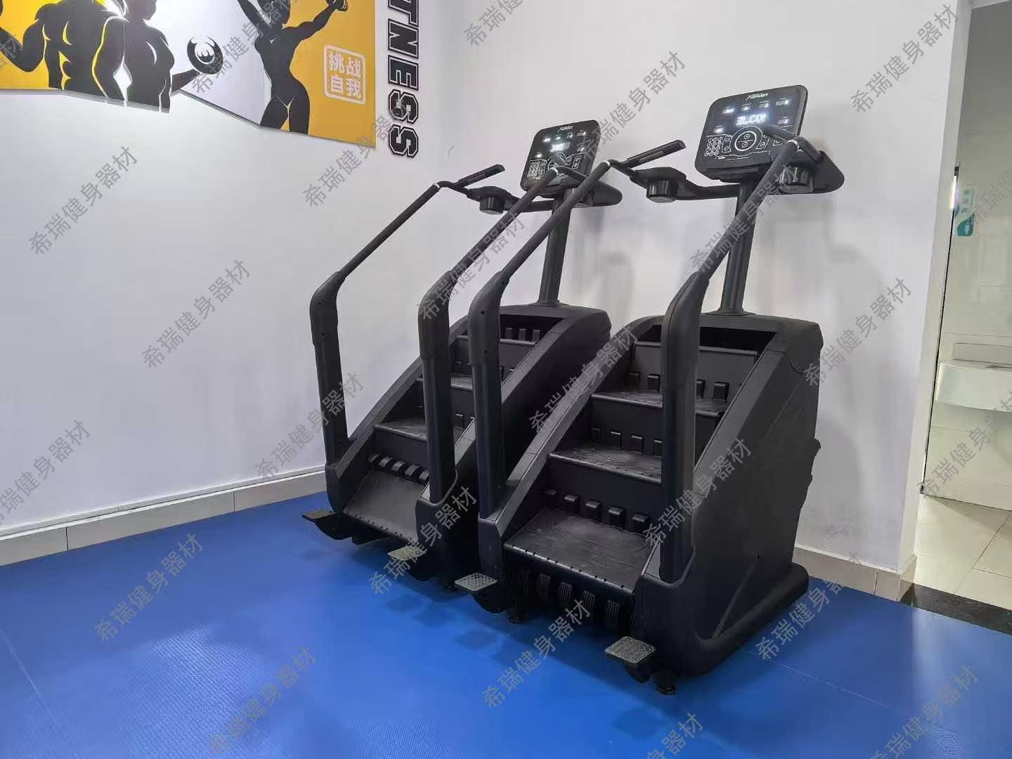 Ticari Kardiyo Ekipmanı Egzers - Home Gym Used incelemesi ve fiyatı