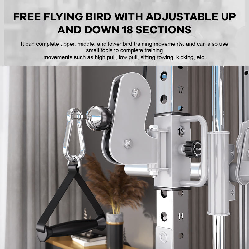 YTYIN Fabrika Tedarikçisi Ev S - Home Gym With Smith Machine incelemesi ve fiyatı